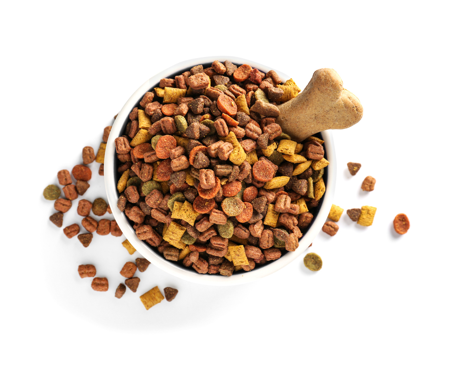 Pet food in bowl on white background